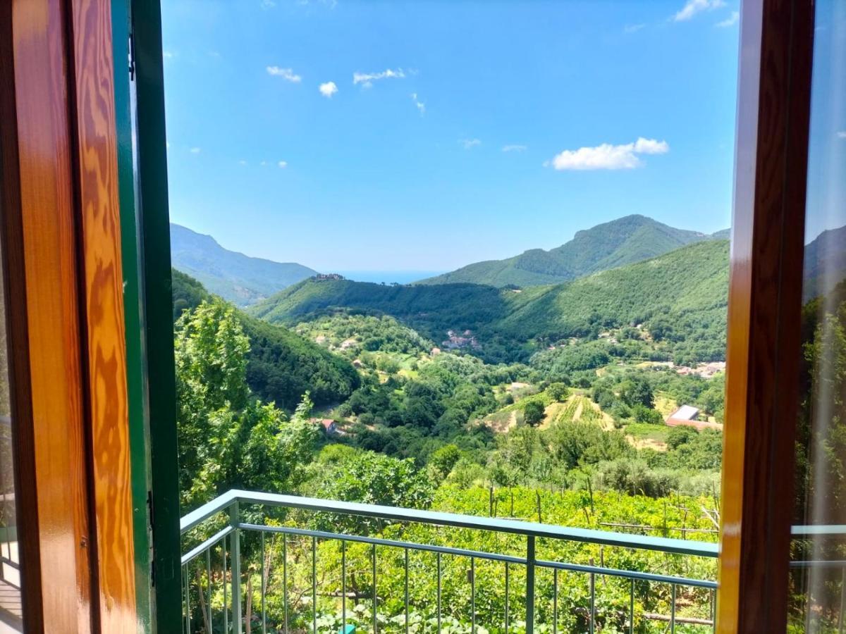 La Casa In Vigna Villa Tramonti Exterior photo